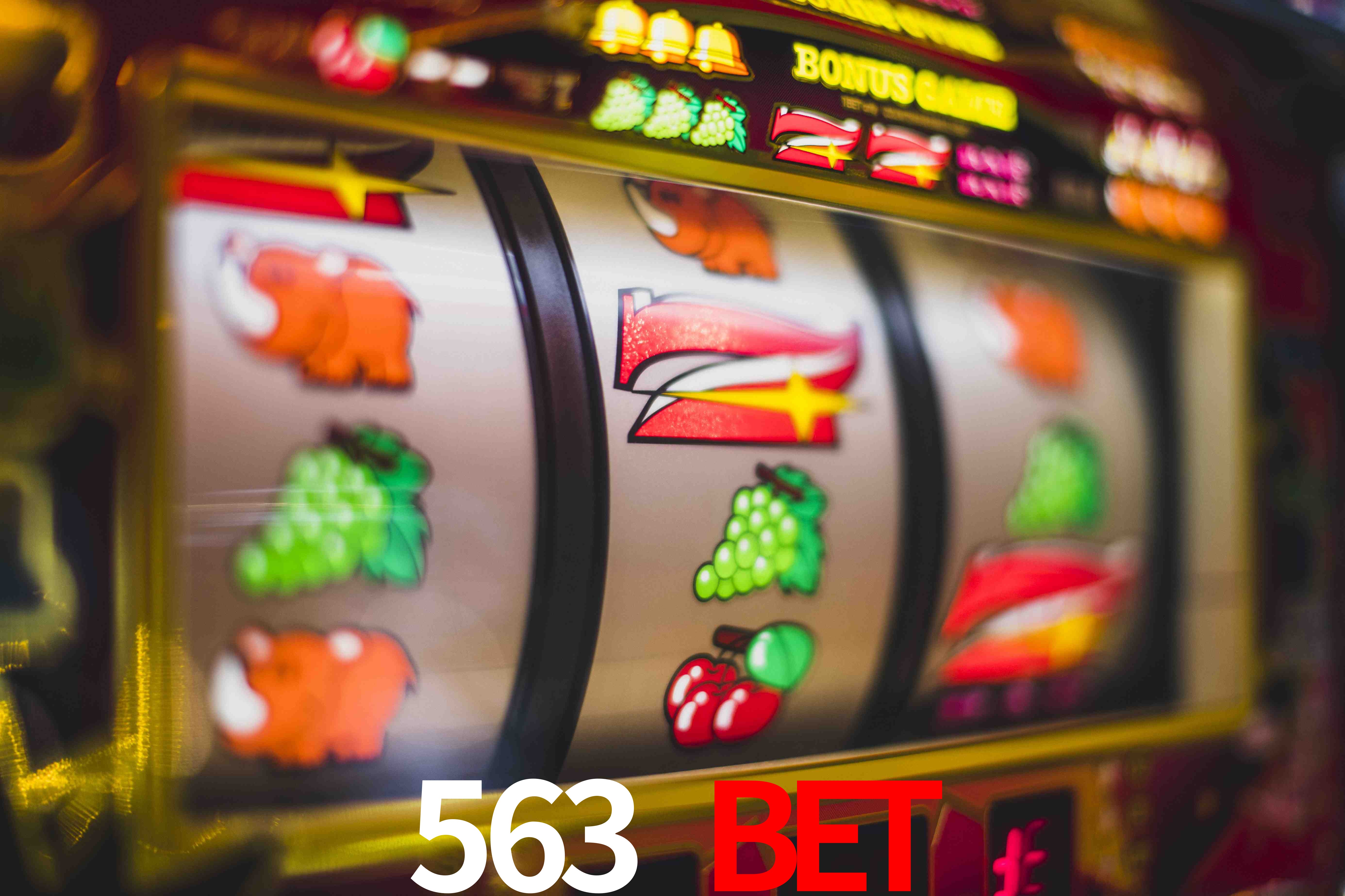 Welcome Bonus 563 bet