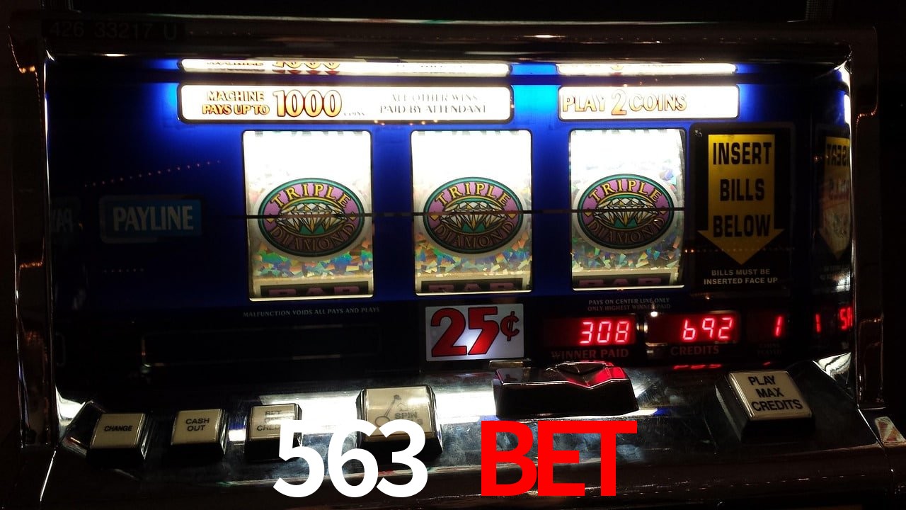 Experiência VIP 563 bet